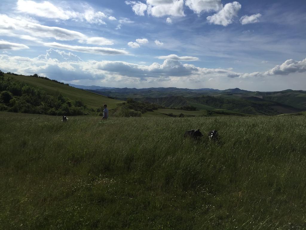 Agriturismo La Chiusola Villa Ozzano dell'Emilia Eksteriør bilde